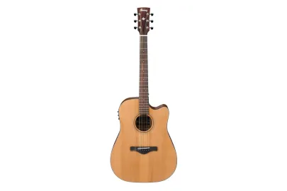 Ibanez AW65ECE-LG