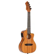 Ortega RUHZ-CE-MM