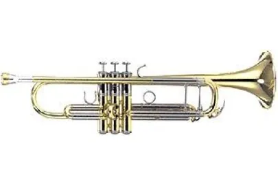Yamaha YTR-8335G 04