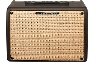 Akustik Verstärker