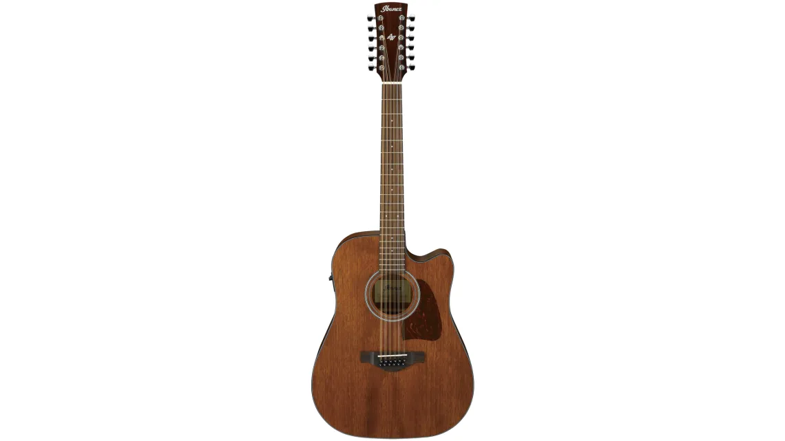 Ibanez AW5412CE-OPN Artwood