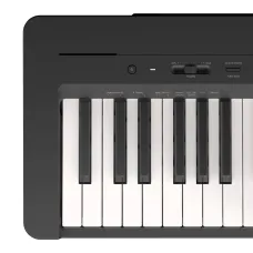 Yamaha P-145 B
