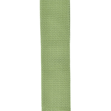 Planet Waves PWS107 Gitarrengurt Green