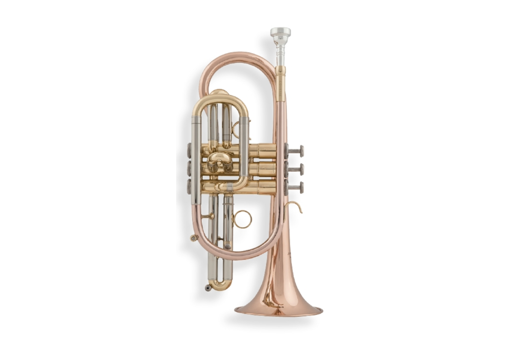 aS Arnolds & Sons ACR-655 B-Kornett Goldmessing