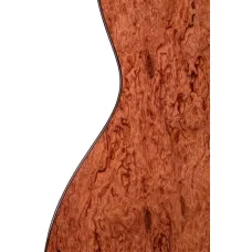 Duke BASIS C