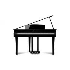 Kawai DG-30