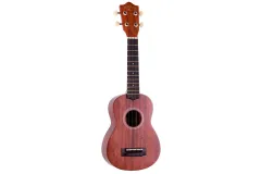 Sonstige Saiteninstrumente