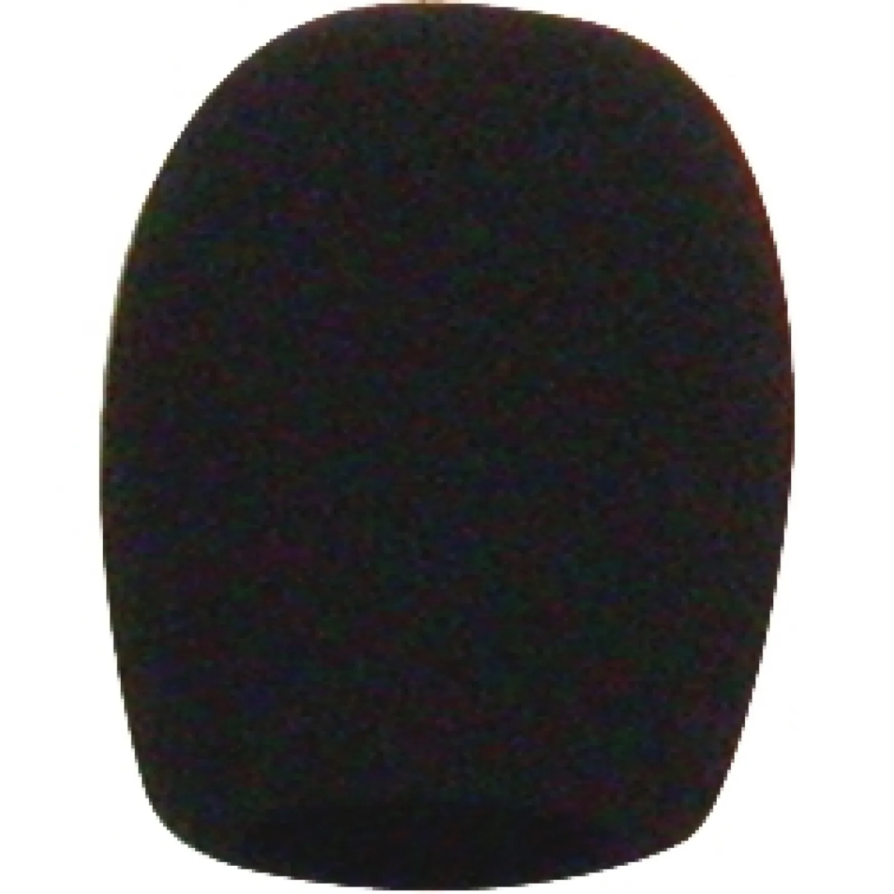 EV Schaumstoff Popfilter (schwarz) für PL37