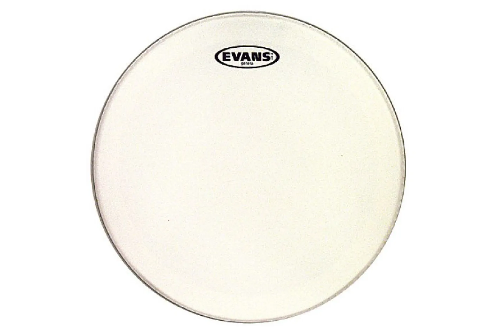 Evans 13" Genera Snare Coated