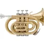 A&S Arnolds & Sons ATR-200 Taschentrompete B-Ware