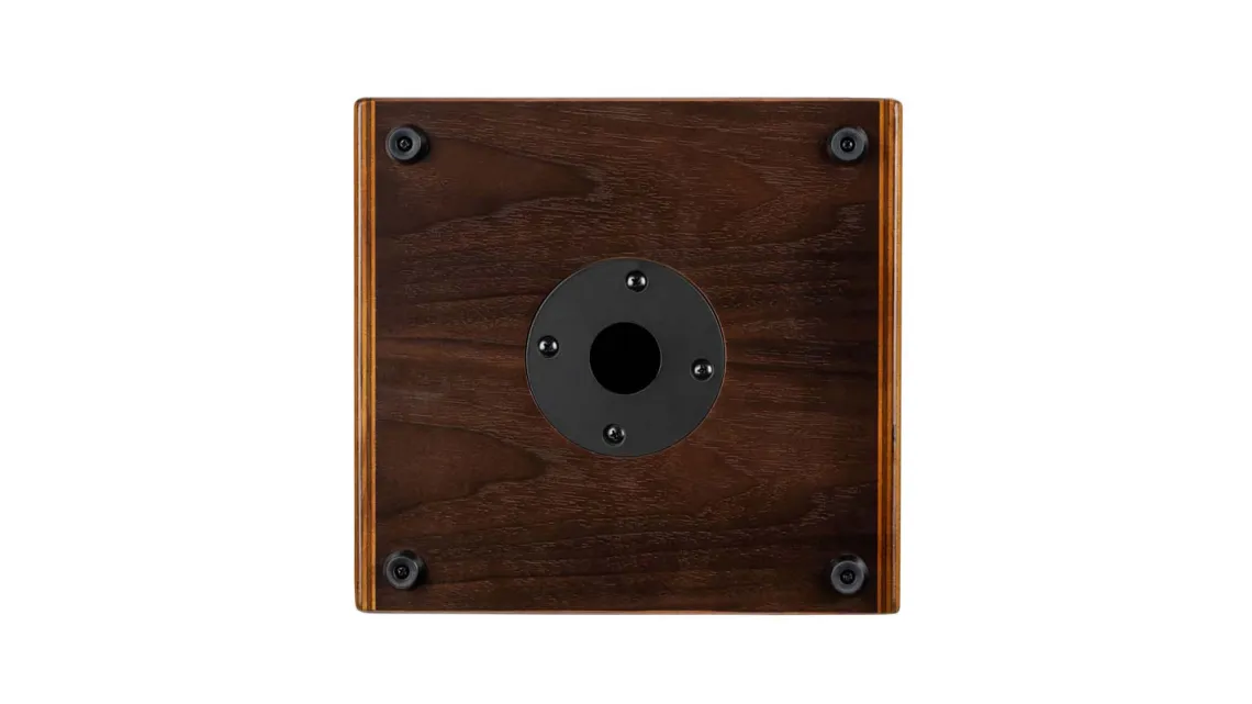 Ortega CONE-WND Acoustic Amp