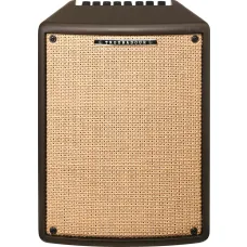 Ibanez T80II Acoustic Combo