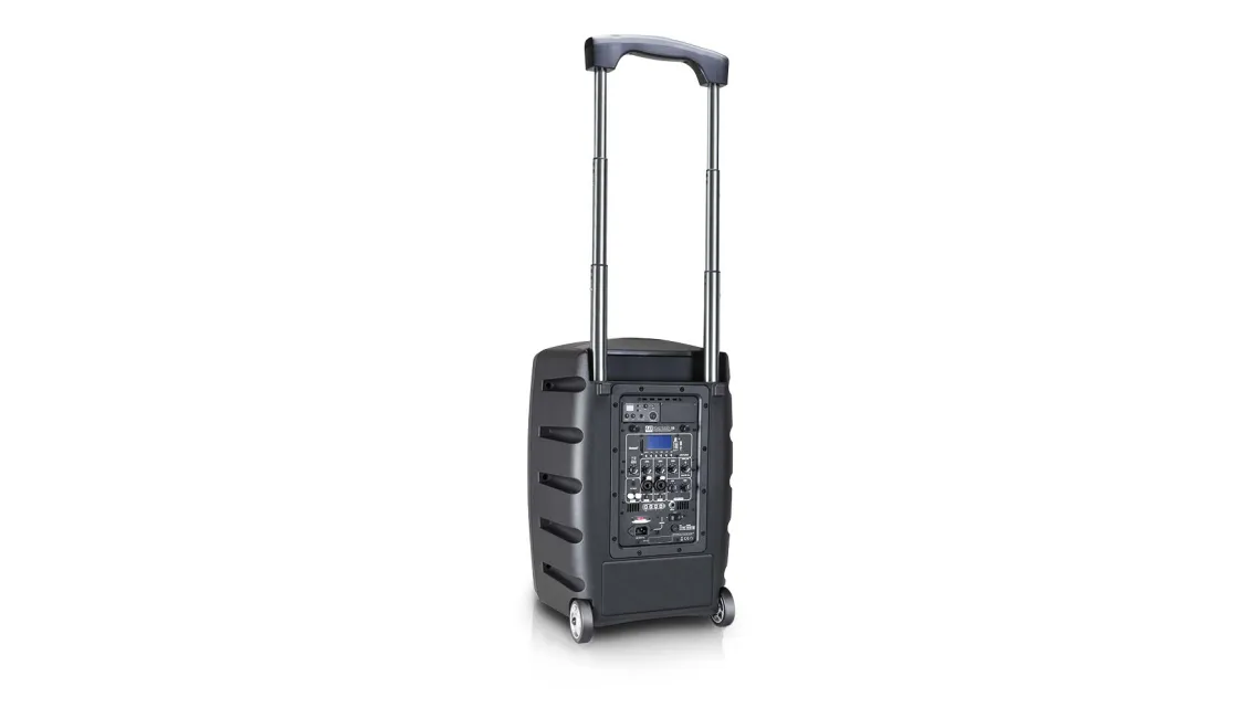 LD Systems Road Buddy 10