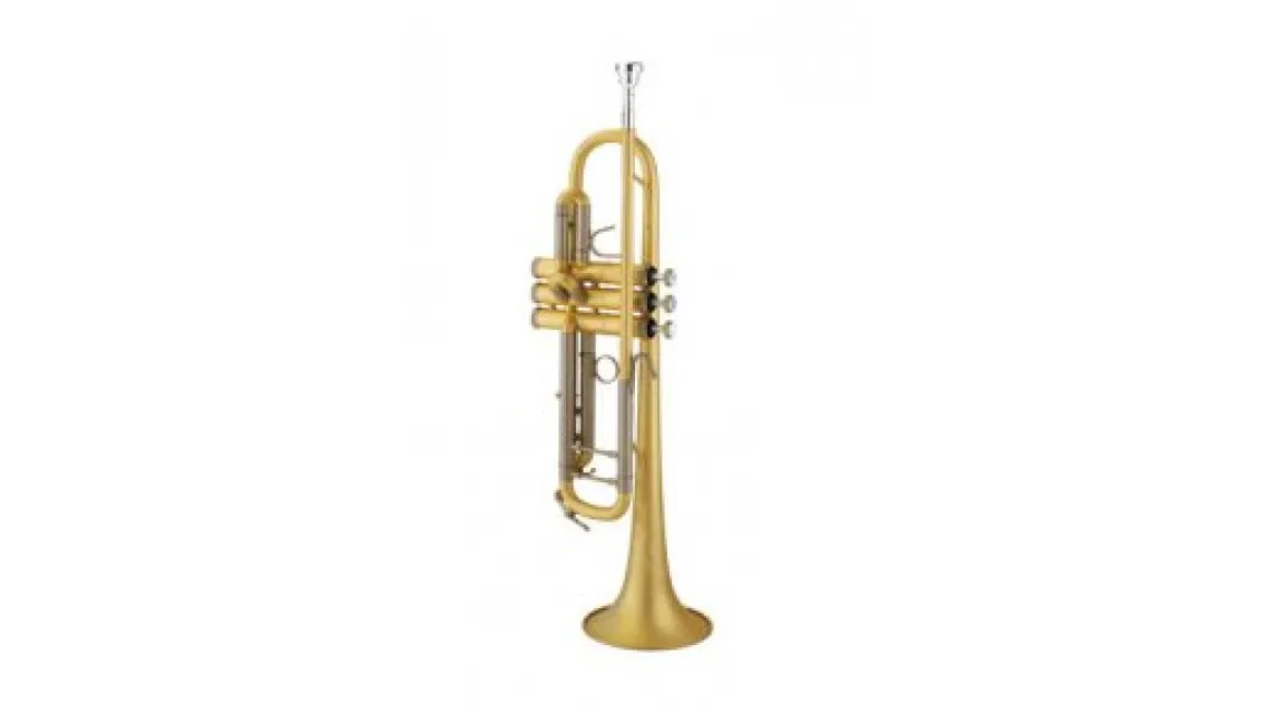 B&S 3178/2-E Bb-Trompete
