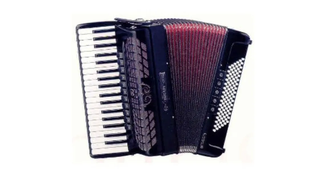 Bugari Akkordeon "Champion Cassotto" 251CHC