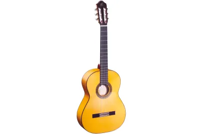 Ortega R270F