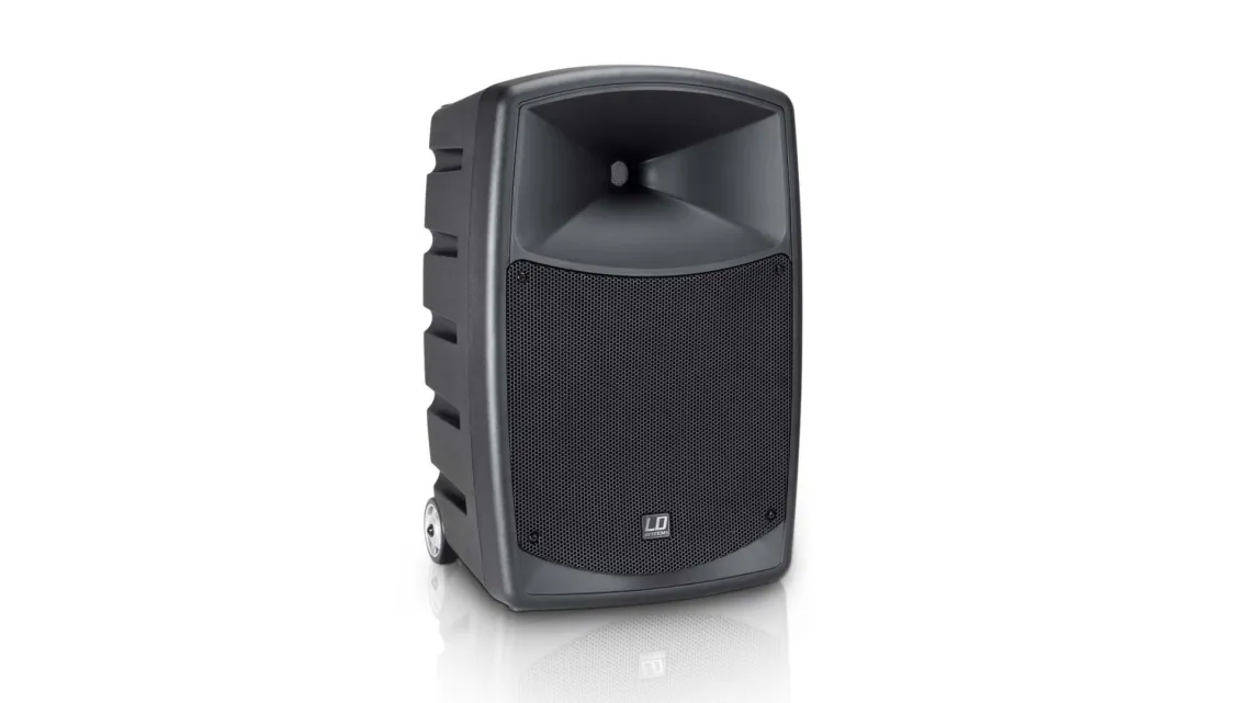 LD Systems Road Buddy 10