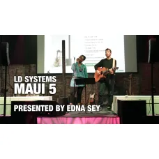 LD Systems Maui 5