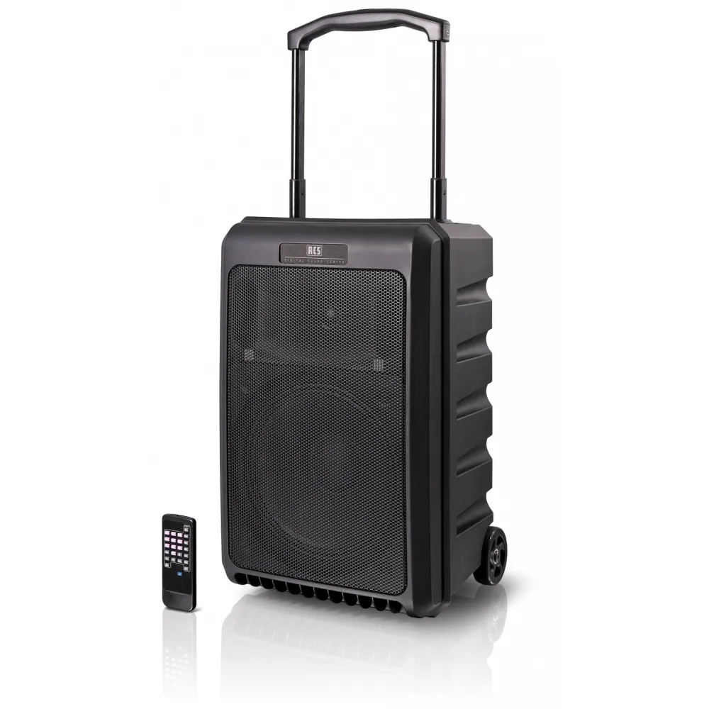 RCS DSC-150 S5 Digital Sound-Center 150