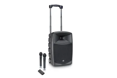LD Systems Road Buddy 10 HHD 2 B5