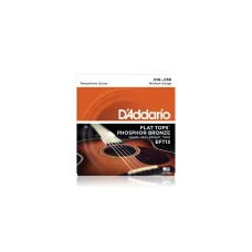 Daddario EFT13