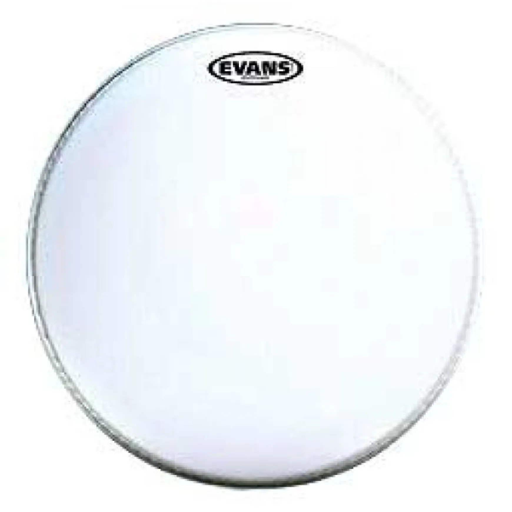 Evans b14g1 14" G1 Coated
