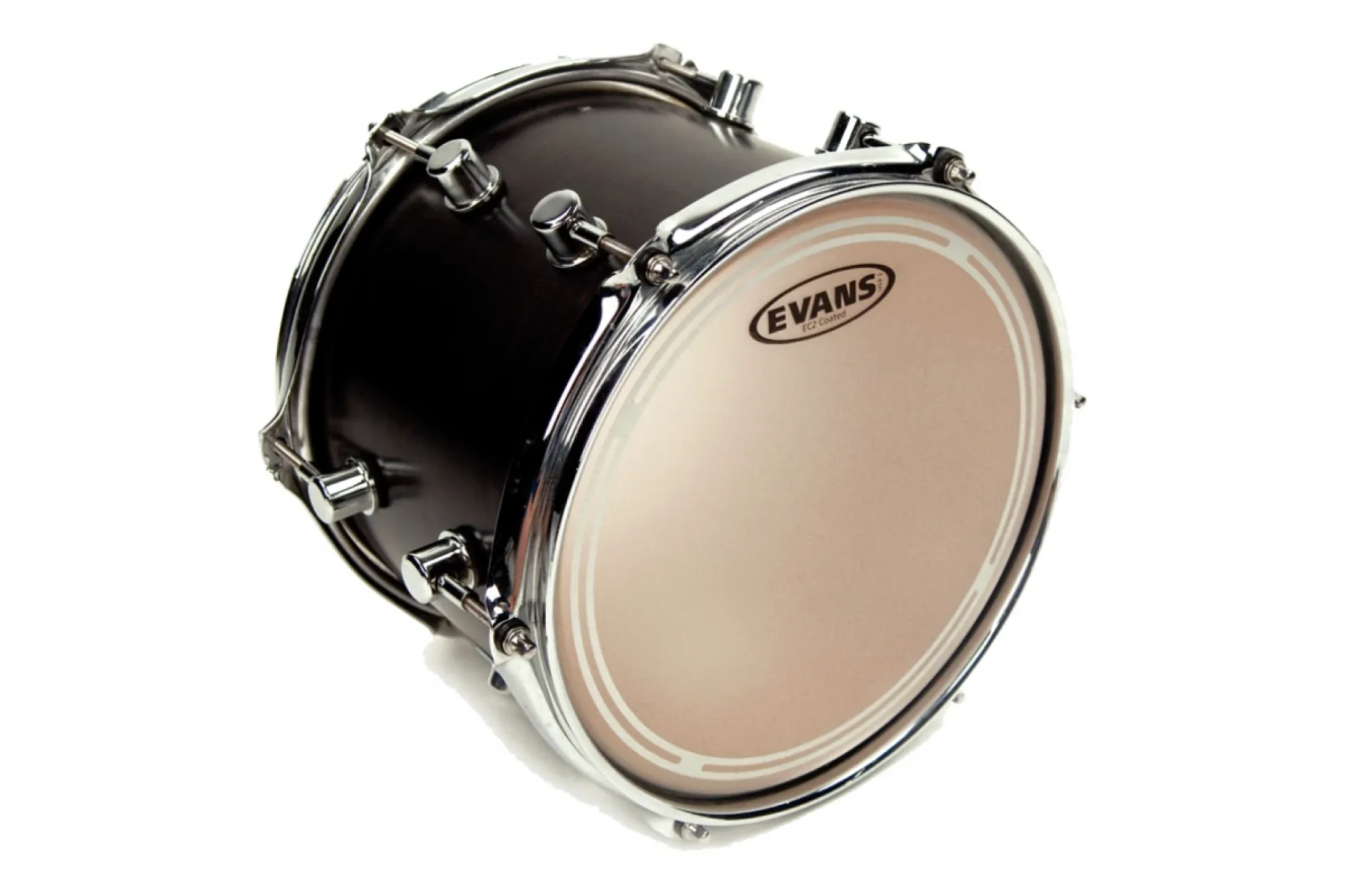Evans 8" EC2 Coated, zweilagig