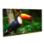 ADJ WMS1 LED Indoor Video Panel