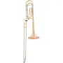 AS Trombone Terra ASL 430G B-Ware