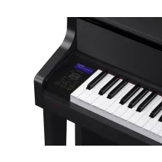 Casio GP-310BK