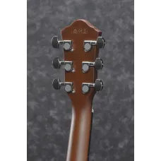 Ibanez AEG70-TCH