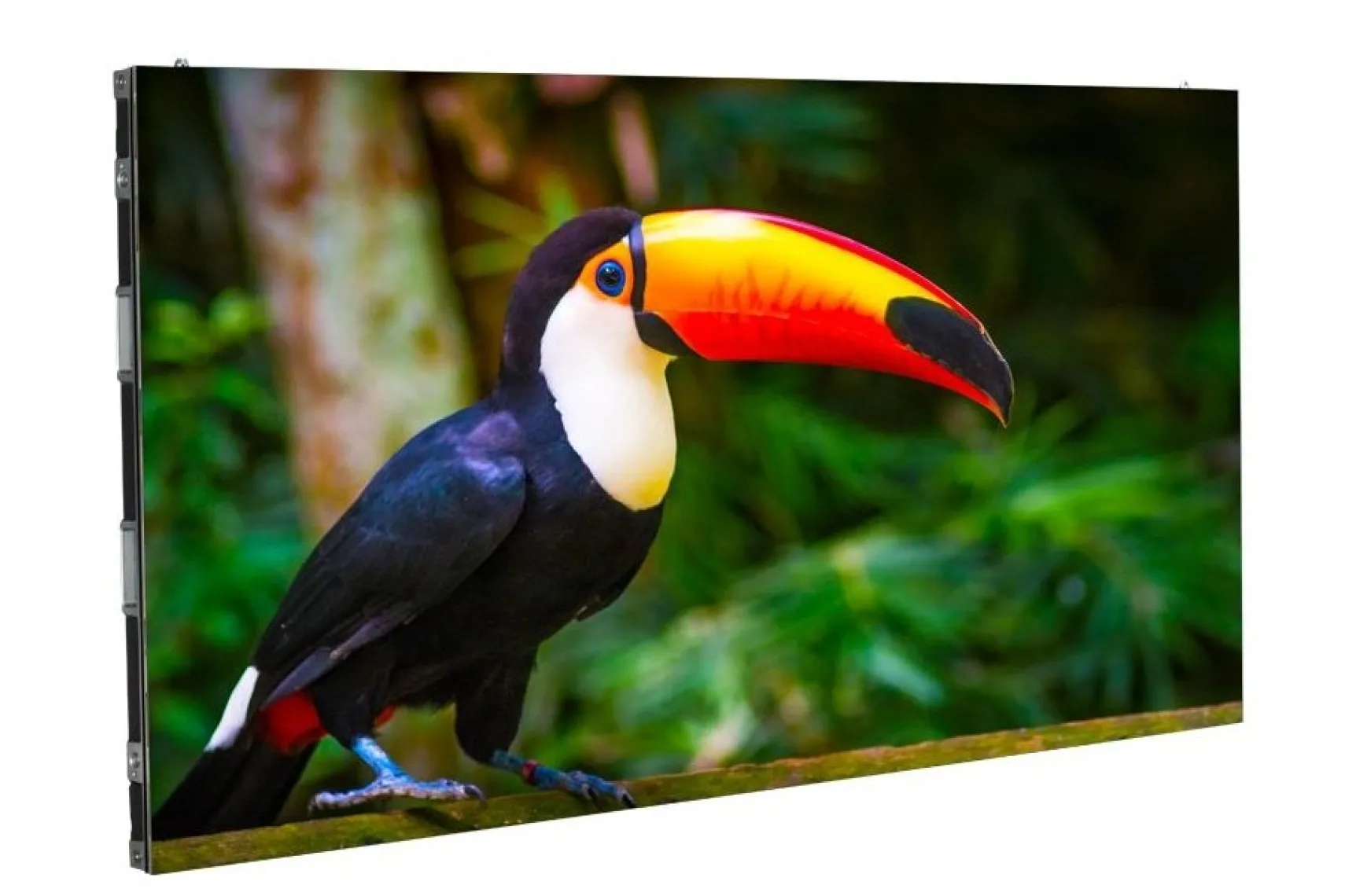 ADJ WMS1 LED Video Panel