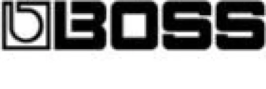 Boss