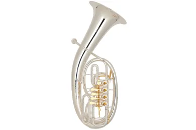 Tenorhörner
