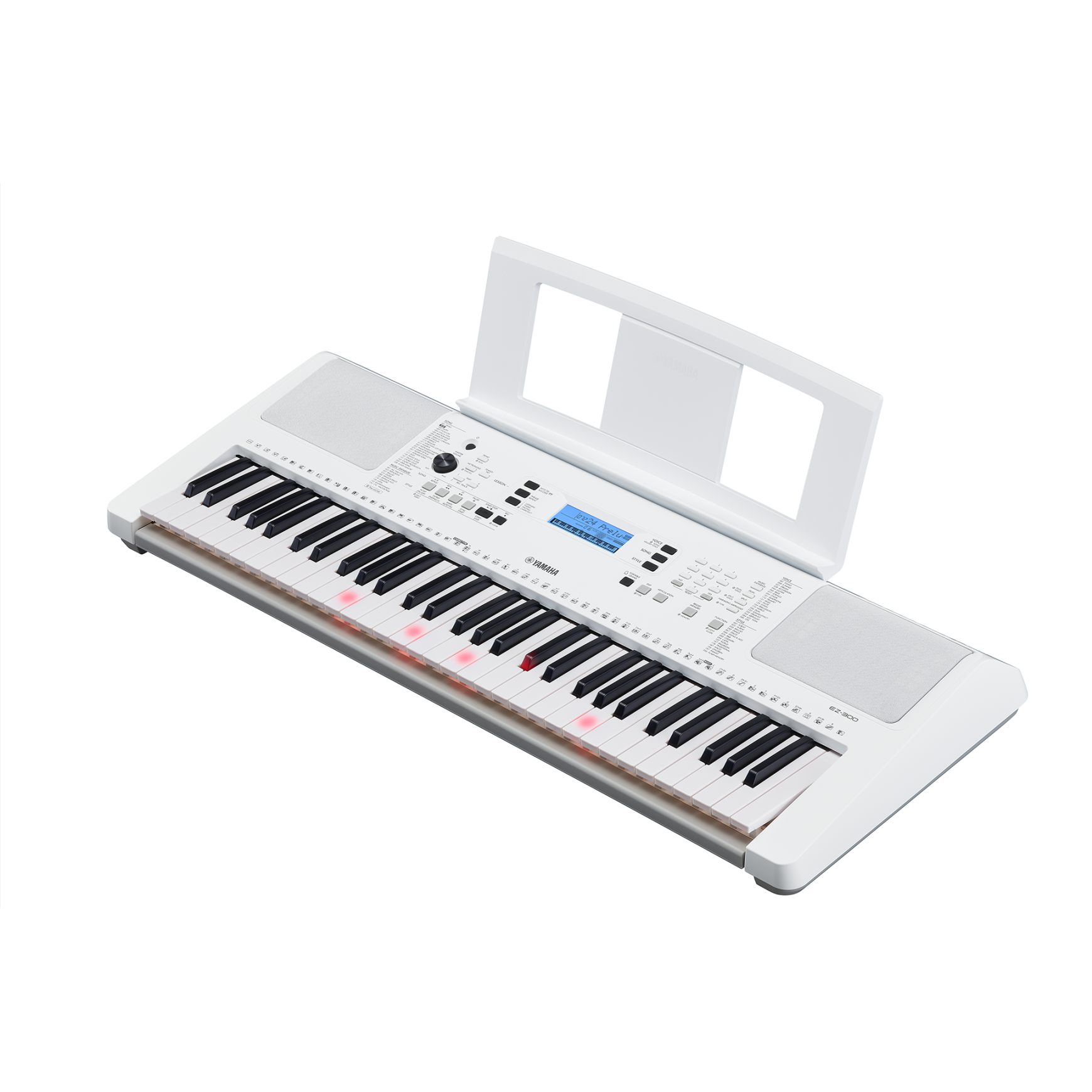 Yamaha EZ-300
