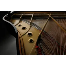 Kawai Flügel GL50E/P