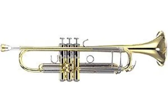 Yamaha YTR-8335G 04