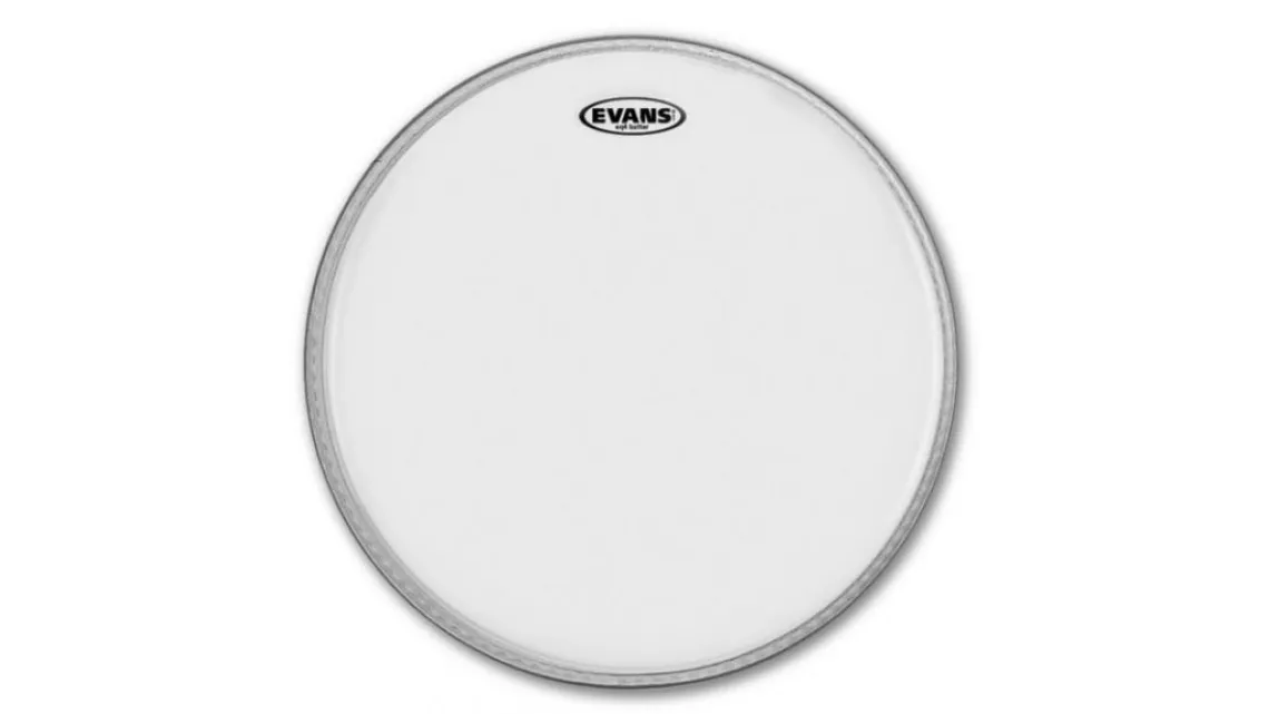 Evans 24" EQ4 Coated