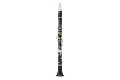 Buffet Crampon R13 Bb-Klarinette 17/6 G