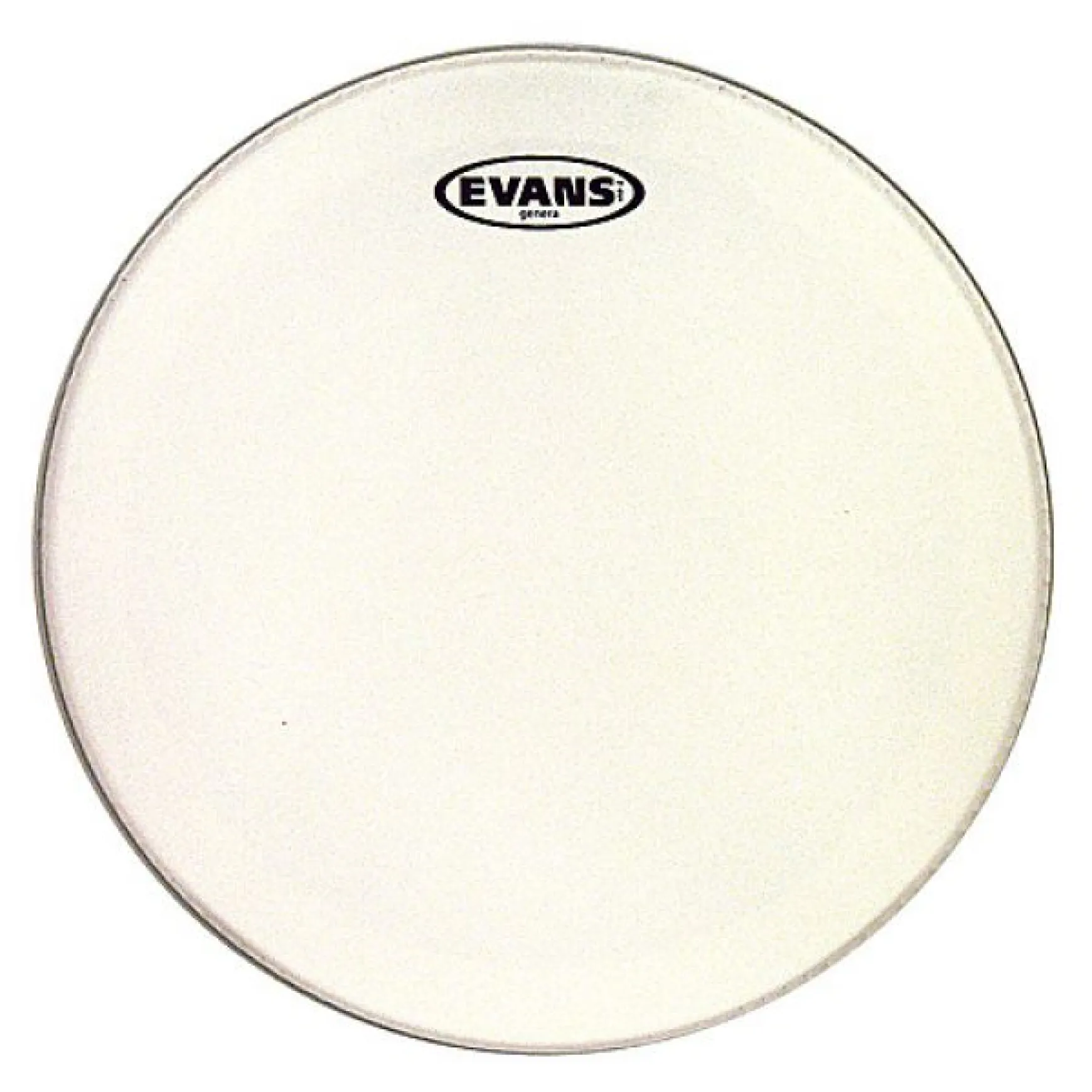 Evans 13" Genera Snare Coated