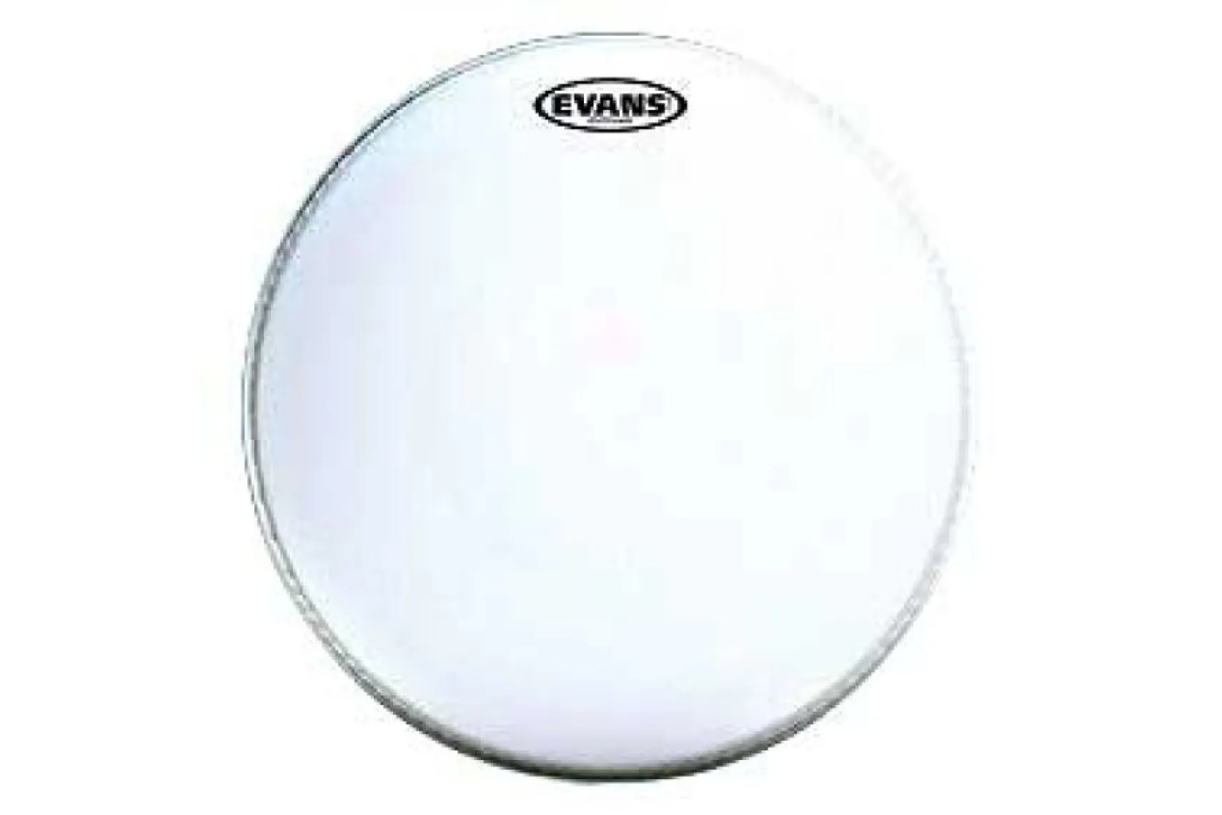 Evans b14g1 14" G1 Coated