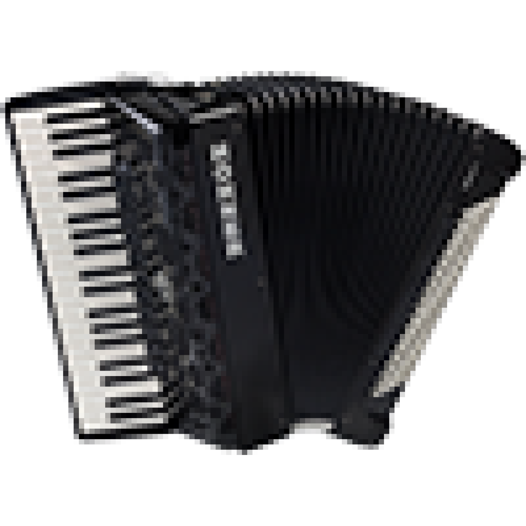 Hohner Amica Forte IV 120 silent Key