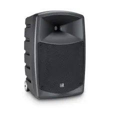 LD Systems Road Buddy 10 HHD 2 B5
