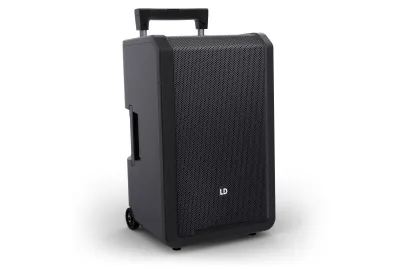 LD Systems ANNY 12