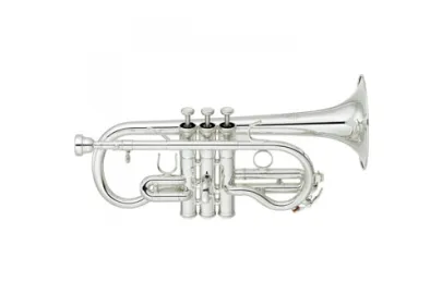 Yamaha YCR-8620S