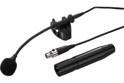 IMG Stageline ECM-310W