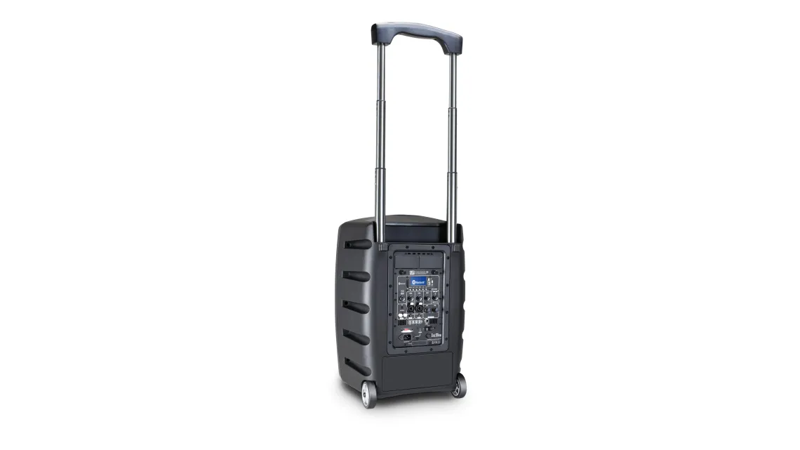 LD Systems Road Buddy 10 Basic