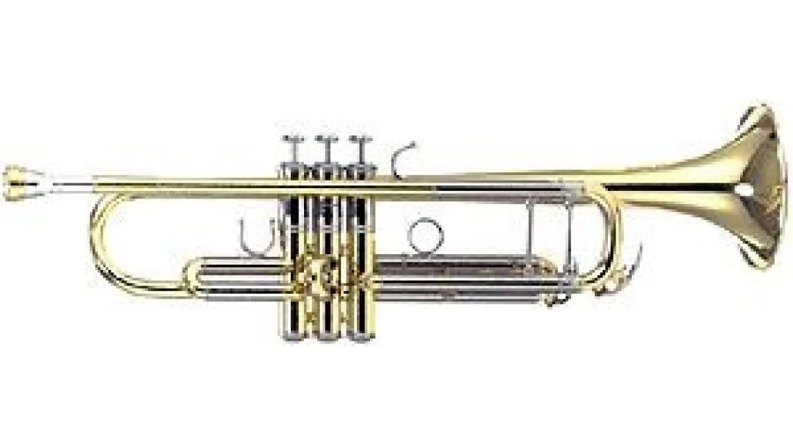 Yamaha YTR-8335G 04