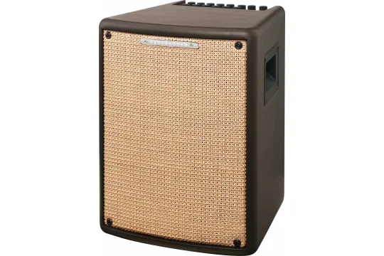 Ibanez T80II Acoustic Combo