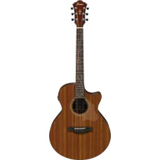Ibanez AE295-LGS